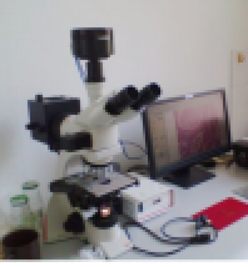 Metalloscope